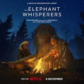 The Elephant Whisperers<span style=color:#777> 2022</span> 1080p WEB H264<span style=color:#fc9c6d>-BIGDOC[rarbg]</span>