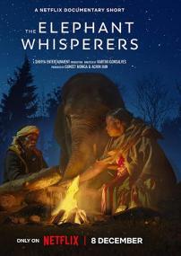 The Elephant Whisperers <span style=color:#777>(2022)</span> 1080p WEBRip x264 MULTI4 DDP5.1 MSub - SP3LL