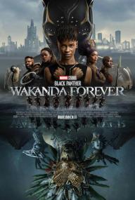 Black Panther Wakanda Forever<span style=color:#777> 2022</span> 1080p HDTS x264 AAC