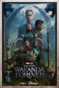 Black panther wakanda forever<span style=color:#777> 2022</span> 720p bluray hevc x265 rmteam