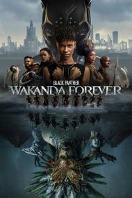 Black Panther Wakanda Forever <span style=color:#777>(2022)</span> [720p] [BluRay] <span style=color:#fc9c6d>[YTS]</span>
