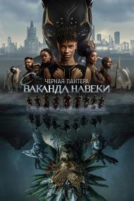 Black Panther Wakanda Forever<span style=color:#777> 2022</span> IMAX x264<span style=color:#fc9c6d> seleZen</span>
