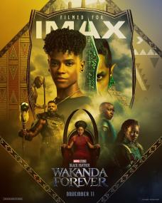 Black Panther - Wakanda Forever <span style=color:#777>(2022)</span> IMAX 1080p 10bit [60FPS] DSNP WEBRip x265 HEVC [Org Hindi DDP 5.1 + English DDP 5.1 Atmos] ESubs ~ MrStrange
