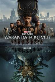 Black Panther Wakanda Forever<span style=color:#777> 2022</span> 1080p 10bit DS4K WEBRip [Org DDP5.1-Hindi+DDP5.1-English] Atmos ESub HEVC-The PunisheR
