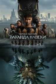 Black Panther Wakanda Forever<span style=color:#777> 2022</span> D MVO BDRip 1080p<span style=color:#fc9c6d> seleZen</span>