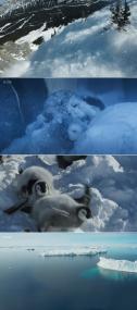 Frozen Planet II S01 480p x264<span style=color:#fc9c6d>-ZMNT</span>
