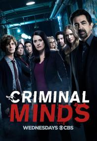 【高清剧集网 】犯罪心理 第十三季[全22集][中文字幕] Criminal Minds<span style=color:#777> 2017</span> 1080p WEBrip x265 AC3-CatHD