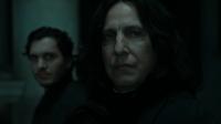 Harry Potter And The Deathly Hallows Part 1<span style=color:#777> 2010</span> OPEN MATTE KK650