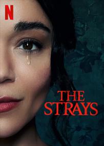 The Strays  <span style=color:#777>(2023)</span> WebDL 1080p ITA ENG E-AC3 AC3 Subs