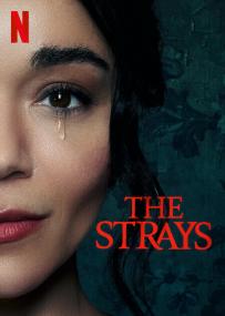 The Strays<span style=color:#777> 2023</span> 720p NF WEB-DL DDP5.1 Atmos H.264-WDYM