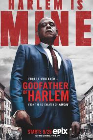 【高清剧集网 】哈林教父 第一季[全10集][简繁英字幕] Godfather of Harlem S01 1080p DSNP WEB-DL DDP5.1 H.264-BlackTV