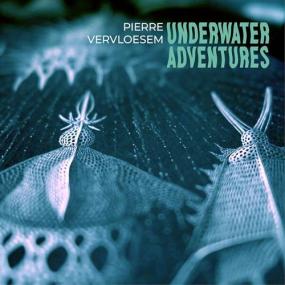 Pierre Vervloesem -<span style=color:#777> 2023</span> - Underwater Adventures [FLAC]