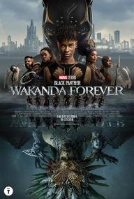Black Panther - Wakanda Forever <span style=color:#777>(2022)</span> FullHD 1080p ITA E-AC3 ENG DTS+AC3 Subs