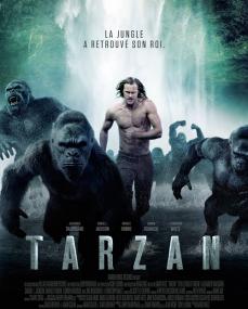 The Legend of Tarzan <span style=color:#777>(2016)</span>[1080p - HDRip - [Tamil + Telugu + Hindi + Eng] - 1.9GB]