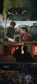 The Last of Us S01E09 720p x265<span style=color:#fc9c6d>-T0PAZ</span>