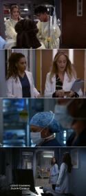 Grey's Anatomy S19E12 720p x264<span style=color:#fc9c6d>-FENiX</span>