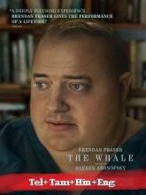 The Whale <span style=color:#777>(2022)</span> BluRay - 720p - Org Auds [Tel + Tam + Hin + Eng]