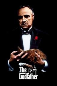 The Godfather<span style=color:#777> 1972</span> REMASTERED 1080p BluRay H264 AAC-LAMA[TGx]
