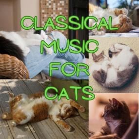 Various Artists - Classical Music for Cats <span style=color:#777>(2023)</span> Mp3 320kbps [PMEDIA] ⭐️