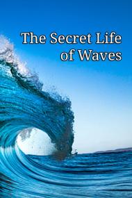 The Secret Life Of Waves <span style=color:#777>(2011)</span> [720p] [WEBRip] <span style=color:#fc9c6d>[YTS]</span>
