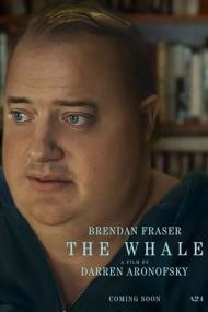 The Whale<span style=color:#777> 2022</span> iTALiAN BDRiP XviD