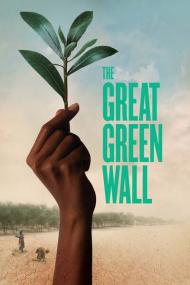 The Great Green Wall<span style=color:#777> 2019</span> 1080p WEBRip x265-LAMA[TGx]