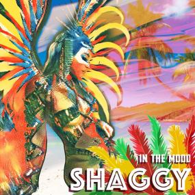 Shaggy - In The Mood <span style=color:#777>(2023)</span> [24Bit-44.1kHz] FLAC [PMEDIA] ⭐️