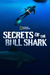 Secrets Of The Bull Shark <span style=color:#777>(2020)</span> [720p] [WEBRip] <span style=color:#fc9c6d>[YTS]</span>
