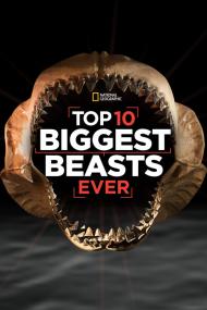 Top 10 Biggest Beasts Ever <span style=color:#777>(2015)</span> [1080p] [WEBRip] [5.1] <span style=color:#fc9c6d>[YTS]</span>