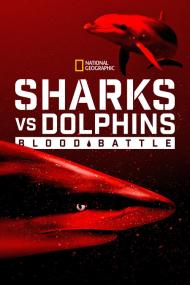 Sharks Vs  Dolphins Blood Battle <span style=color:#777>(2020)</span> [1080p] [WEBRip] [5.1] <span style=color:#fc9c6d>[YTS]</span>