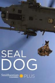 SEAL Dog <span style=color:#777>(2015)</span> [1080p] [WEBRip] <span style=color:#fc9c6d>[YTS]</span>