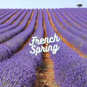 Various Artists - French Spring <span style=color:#777>(2023)</span> Mp3 320kbps [PMEDIA] ⭐️