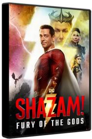 Shazam Fury of the Gods<span style=color:#777> 2023</span> BluRay 1080p DTS AC3 x264-MgB