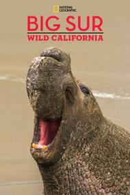 National Geographic Explorer Big Sur-Wild California <span style=color:#777>(2010)</span> [720p] [WEBRip] <span style=color:#fc9c6d>[YTS]</span>