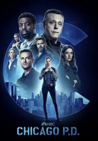 Chicago P.D. S10E11 Perso da tempo 1080p WEBMux ITA ENG x264-BlackBit