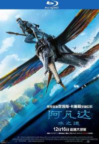 Avatar The Way of Water<span style=color:#777> 2022</span> BluRay 1080p DTS x264