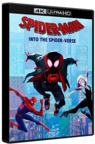 Spider-Man Into the Spider-Verse<span style=color:#777> 2018</span> UHD 4K BluRay 2160p HDR10 TrueHD 7.1 Atmos H 265-MgB