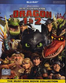 How to Train Your Dragon Duology (2010-2014) 720p Bluray x264 ESubs-[Dual Audio]-[Hindi DD 5.1+Eng DD 5.1]- 2.2GB <span style=color:#fc9c6d>- Movcr</span>