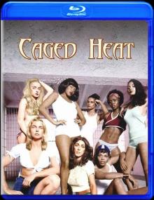 Caged Heat<span style=color:#777> 1974</span> BDRemux 1080p