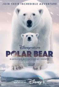 Polar Bear <span style=color:#777>(2022)</span>  mkv DLMux 2160p h265 E-AC3+AC3 ITA ENG SUBS