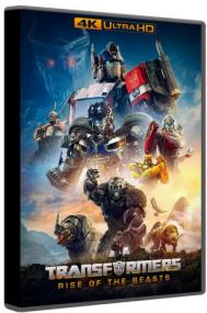 Transformers Rise of the Beasts<span style=color:#777> 2023</span> Hybrid 4K WEBRip 2160p HDR10+ DoVi DD+ 5.1 Atmos H 265-MgB