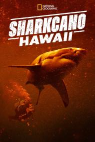 Sharkcano Hawaii <span style=color:#777>(2023)</span> [1080p] [WEBRip] [5.1] <span style=color:#fc9c6d>[YTS]</span>
