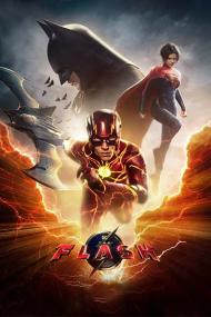 The Flash <span style=color:#777>(2023)</span> 1080p HDRip  [Dual Audio] [Hindi or English] x264 ESubs [3GB] <span style=color:#fc9c6d>- QRips</span>