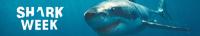 Shark Week<span style=color:#777> 2023</span> Alien Sharks Strange Worlds 720p WEB h264<span style=color:#fc9c6d>-BAE[TGx]</span>