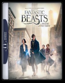 Fantastic Beast And Where To Find Them<span style=color:#777> 2016</span> 2160p Blu-Ray UHD DTS-HD MA x265