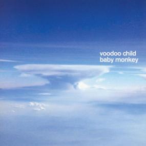 Moby Voodoo Child - Baby Monkey (2004 Elettronica) [Flac 16-44]
