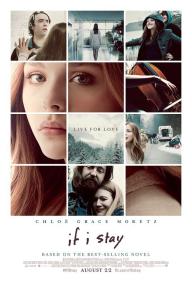 【高清影视之家发布 】如果我留下[中文字幕] If I Stay<span style=color:#777> 2014</span> 1080p WEB-DL H264 AAC<span style=color:#fc9c6d>-DreamHD</span>