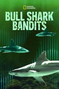 Bull Shark Bandits <span style=color:#777>(2023)</span> [720p] [WEBRip] <span style=color:#fc9c6d>[YTS]</span>