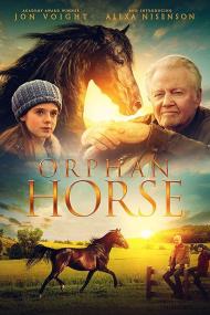 【高清影视之家发布 】孤马[简繁英字幕] Orphan Horse<span style=color:#777> 2018</span> BluRay 1080p DTS-HD MA 5.1 x265 10bit<span style=color:#fc9c6d>-DreamHD</span>