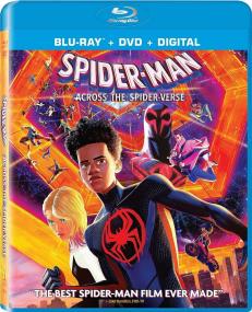 Spider-Man Across the Spider-Verse<span style=color:#777> 2023</span> 1080p BluRay x265 10bit DTS-WiKi